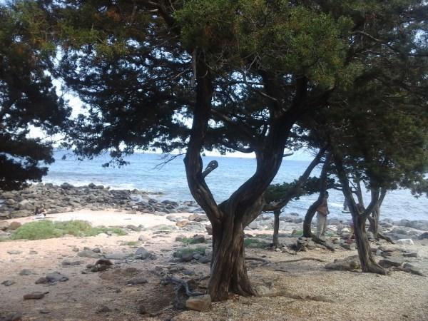 Karmabnb Cala Gonone Exterior photo